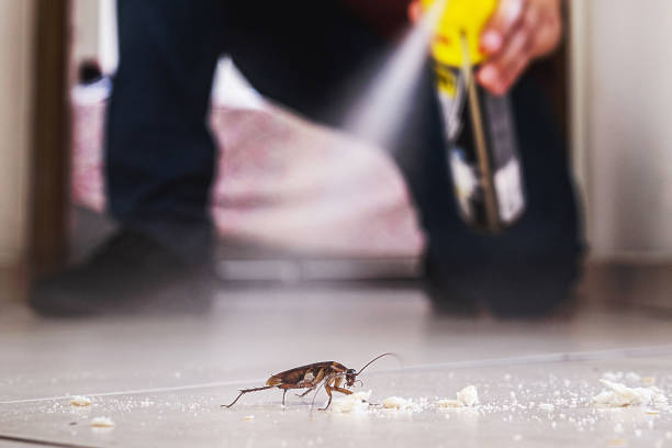 Trusted Leilani Estates, HI Pest Control Experts
